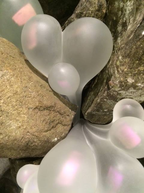 10846380_847832541944402_2753465390737479643_n