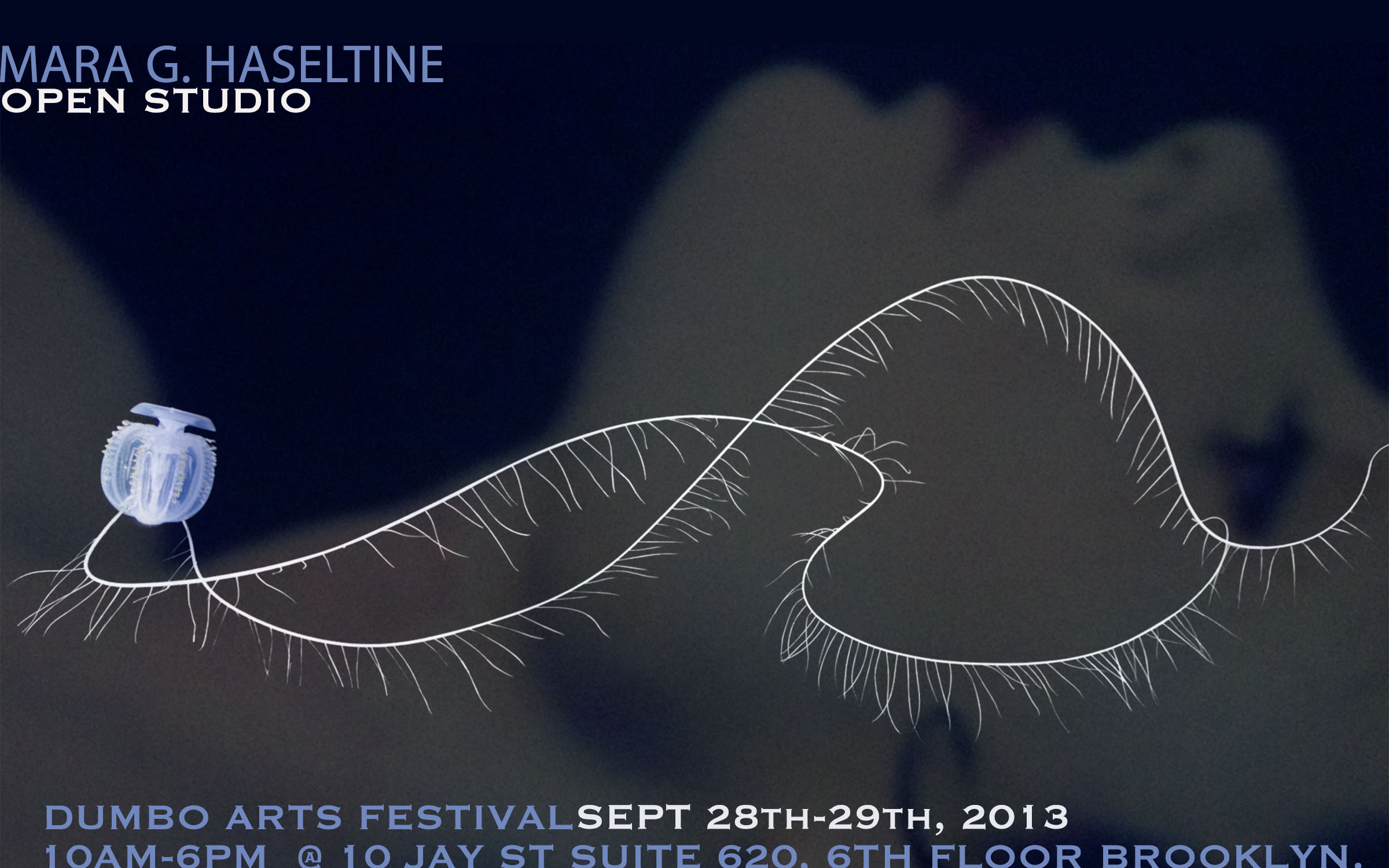 DUMBO, Brooklyn (September 27-29, 2013) – Internationally renown environmental Artist Mara G. Haseltine her open studio and work in progress: “La Bohème: A Portrait of Today’s Oceans in Peril” as part of the DUMBO Arts Festival: 10 Jay St, Suite 620 (6th floor) September 28th-29th, Saturday and Sunday 10am-6pm.