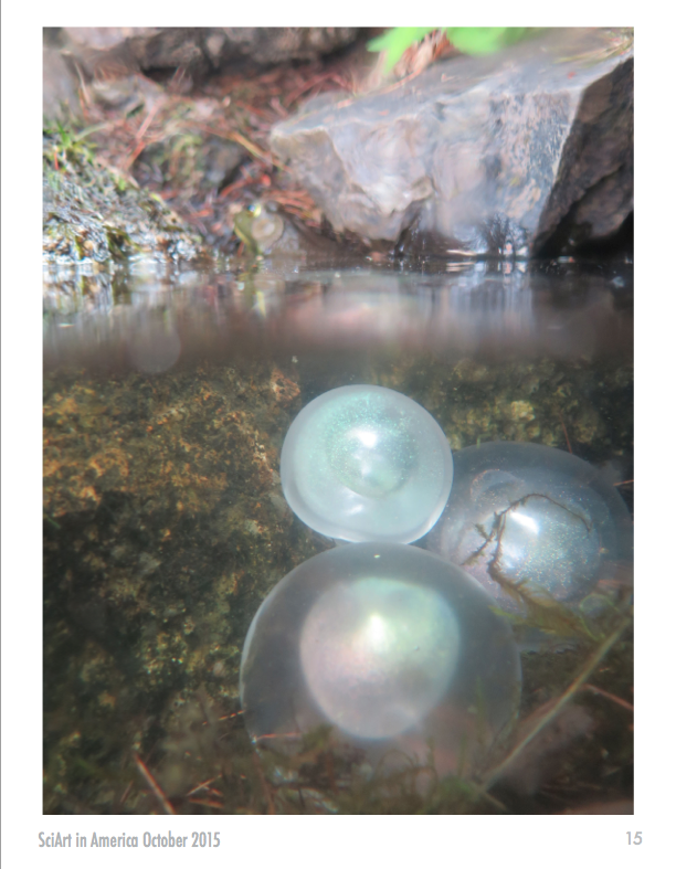 Screen Shot 2016-01-01 at 6.26.39 PM