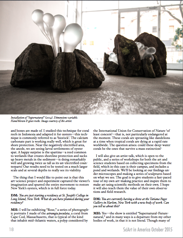 Screen Shot 2016-01-01 at 6.30.00 PM