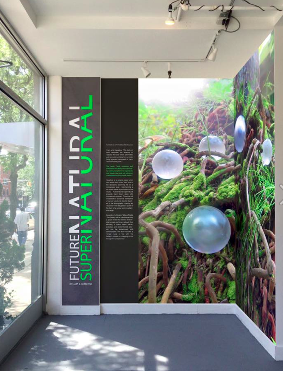 Screenshot 2016-01-19 10.13.26